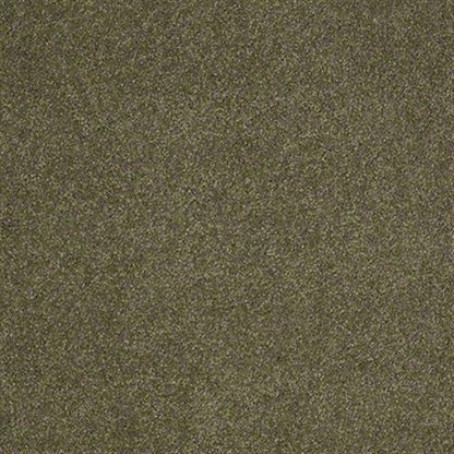 Cashmere III