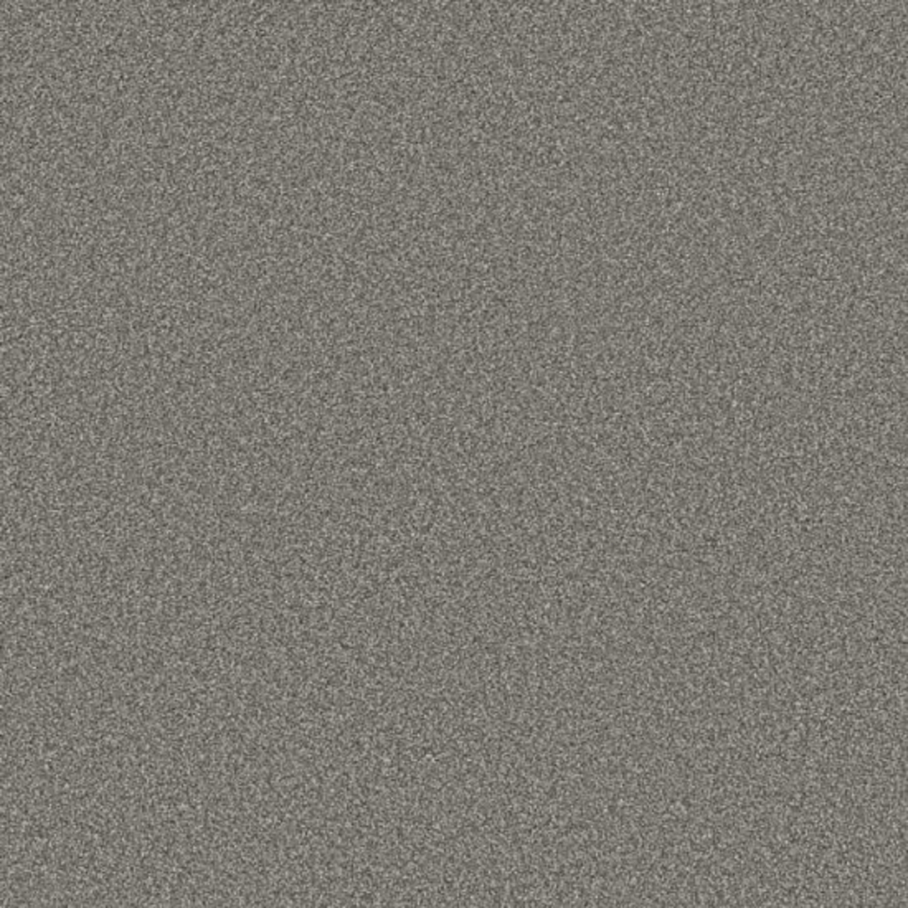 TWEED COMFORT I in First Class Carpet