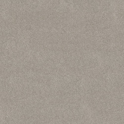 Vivid Touch Ii in Marble