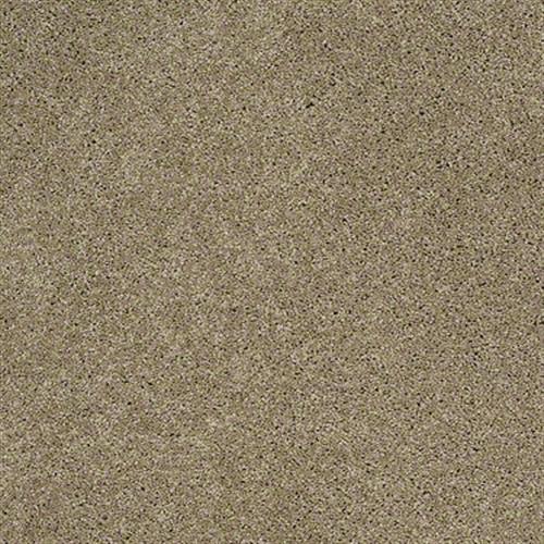 Grand Image II in Driftwood Carpet