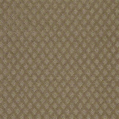 Go Beyond in Travertine Carpet