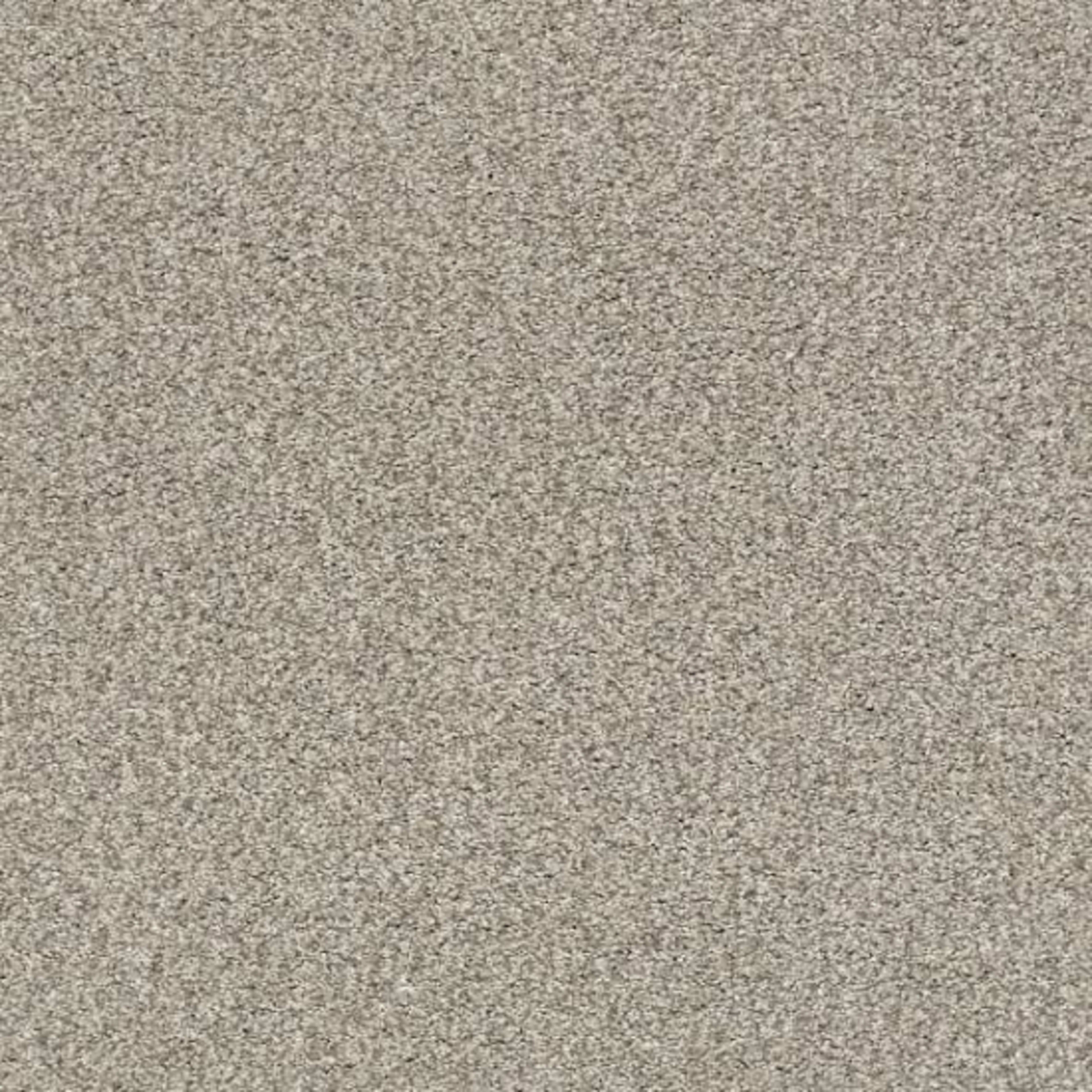 TONAL COMFORT I in Back Patio Carpet