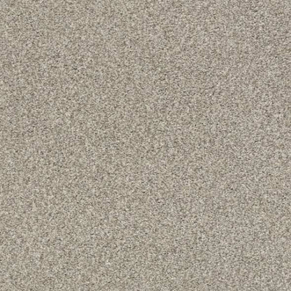 TONAL COMFORT I in Back Patio Carpet