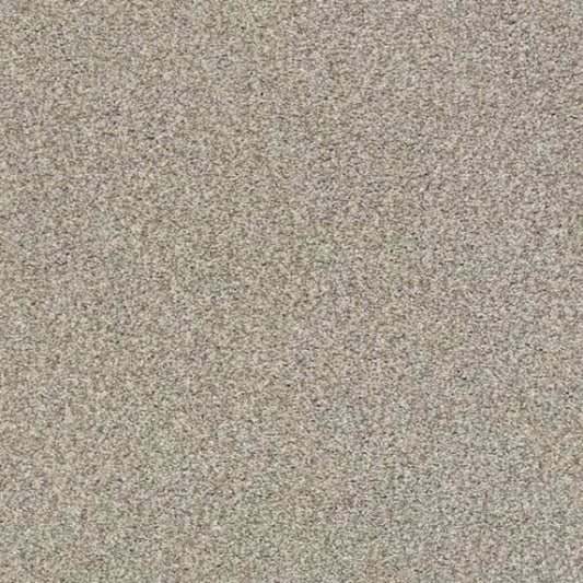 TONAL COMFORT I in Back Patio Carpet