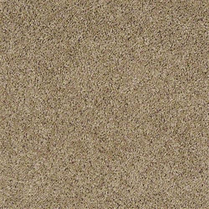 Fusion Value 400 in Jogging Path Carpet