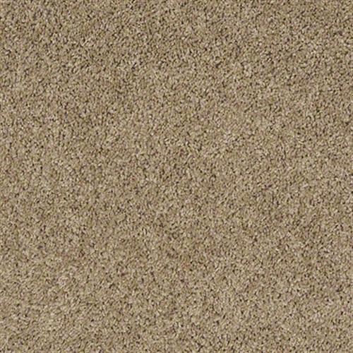 Fusion Value 400 in Jogging Path Carpet