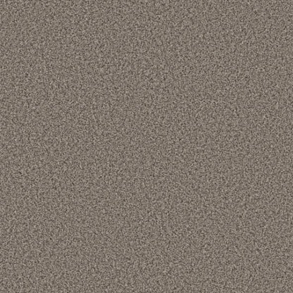 TWEED COMFORT II
