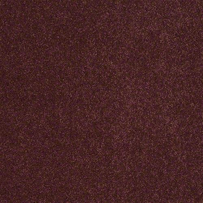 Cashmere II