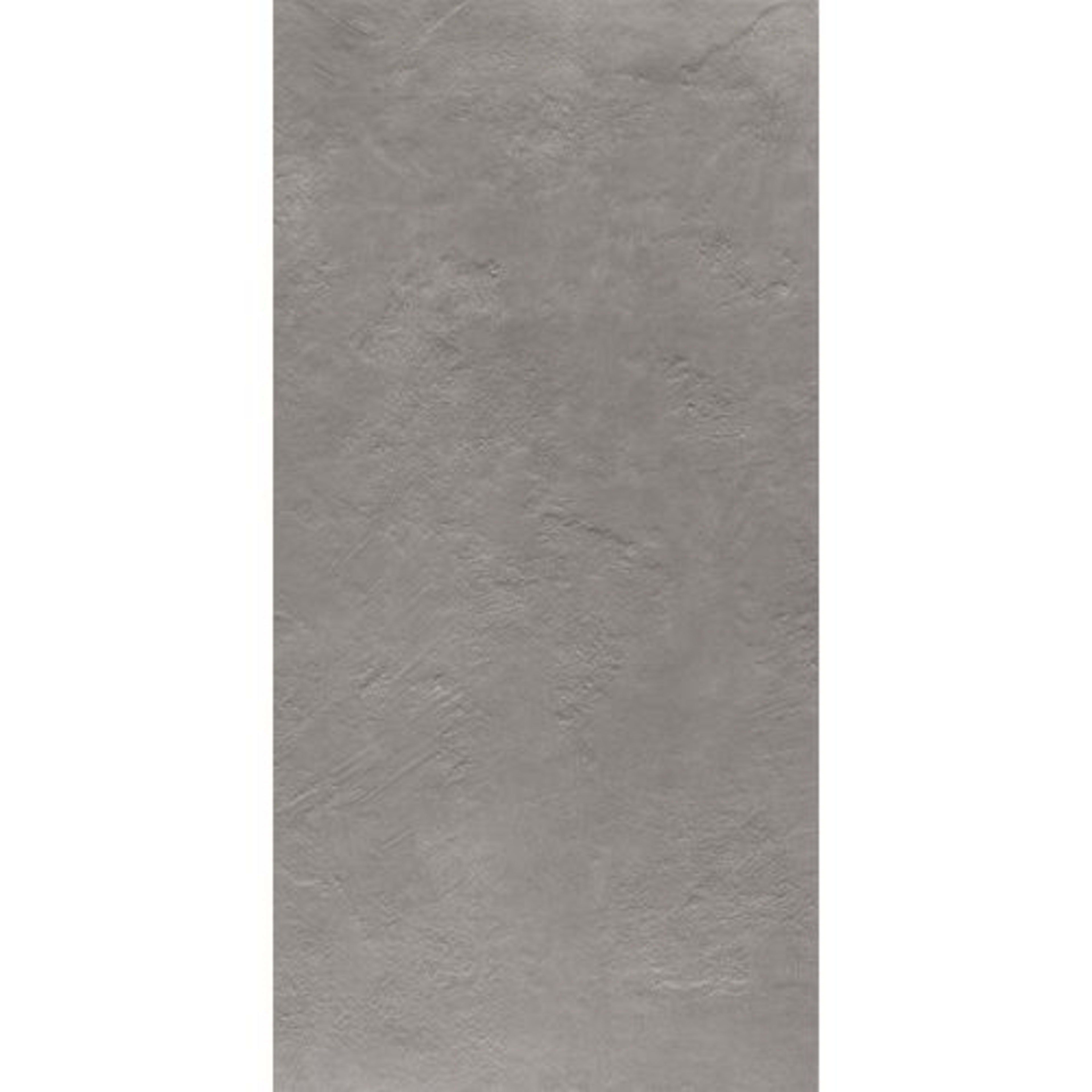 Newton in Silver Natural - 24x48 Tile