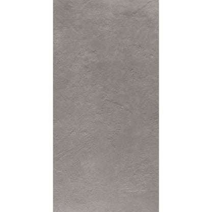 Newton in Silver Natural - 24x48 Tile