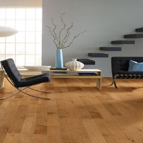 AMERICAN SPIRIT in Suede Hardwood