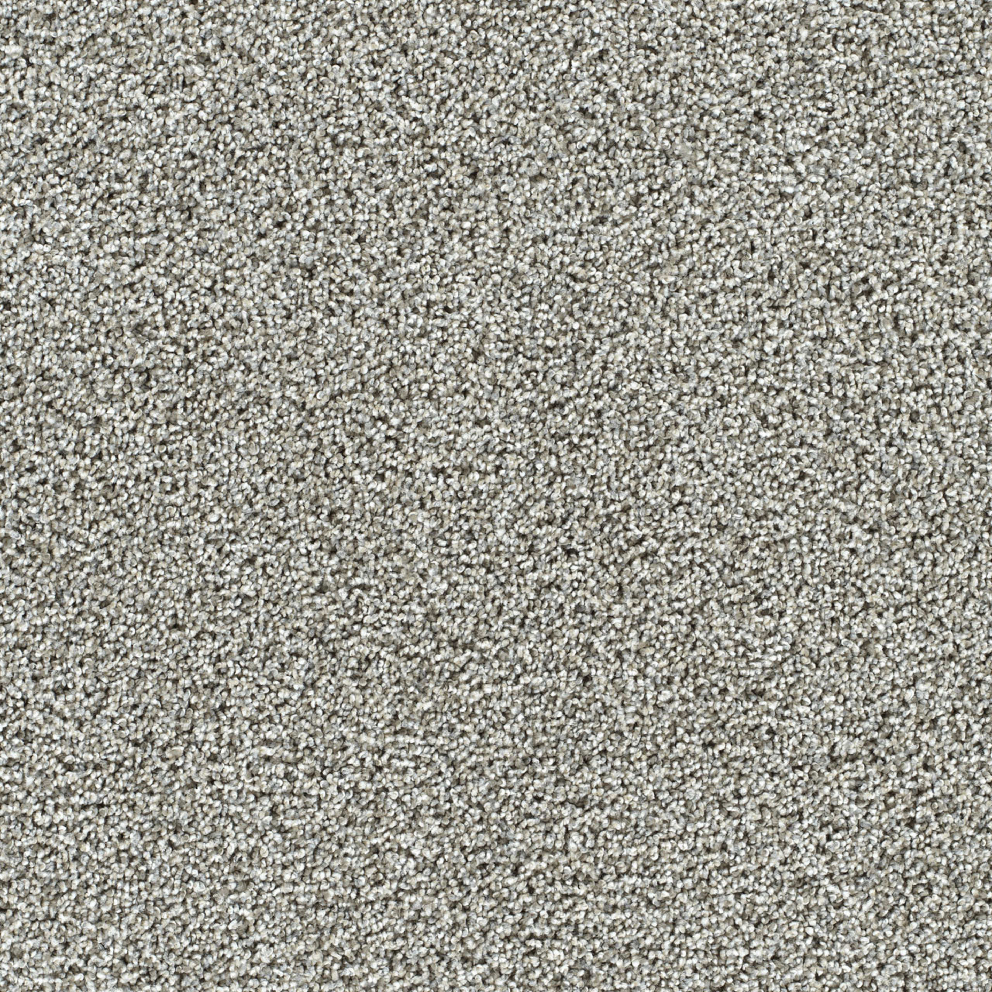 Captivating II in Gravel Stone Carpet