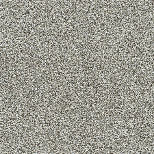 Captivating II in Gravel Stone Carpet