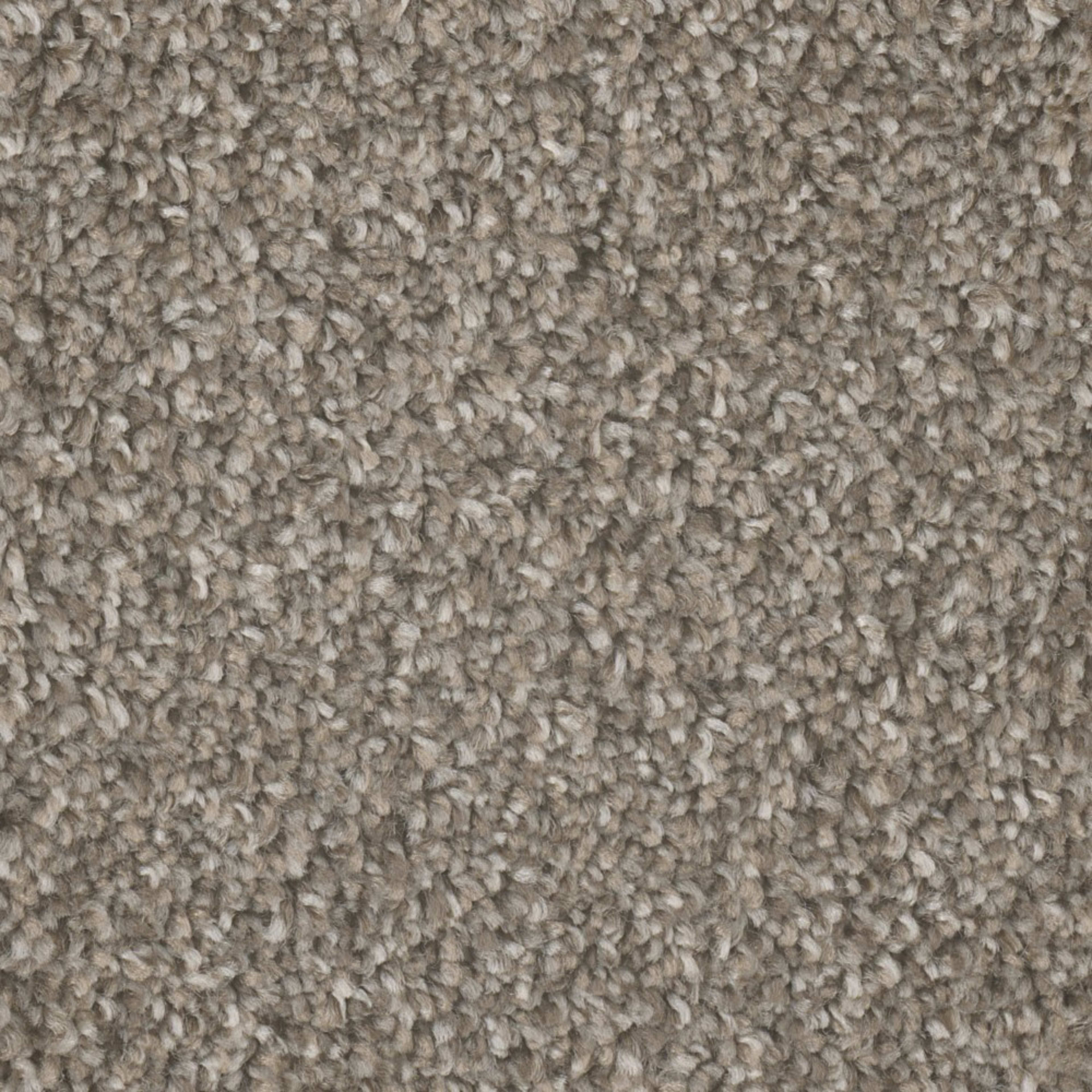 Mount Rainier I in Campground Carpet