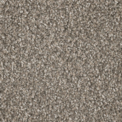 Mount Rainier I in Campground Carpet