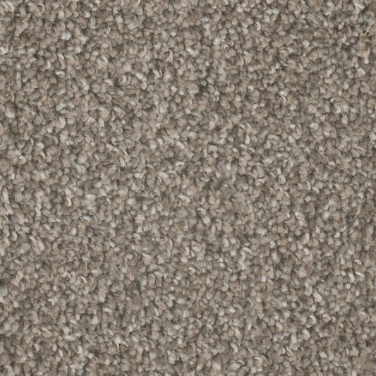 Mount Rainier I in Campground Carpet