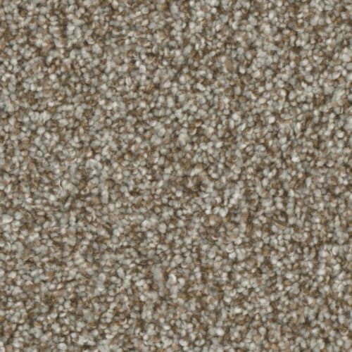 Mount Rainier I in Gravel