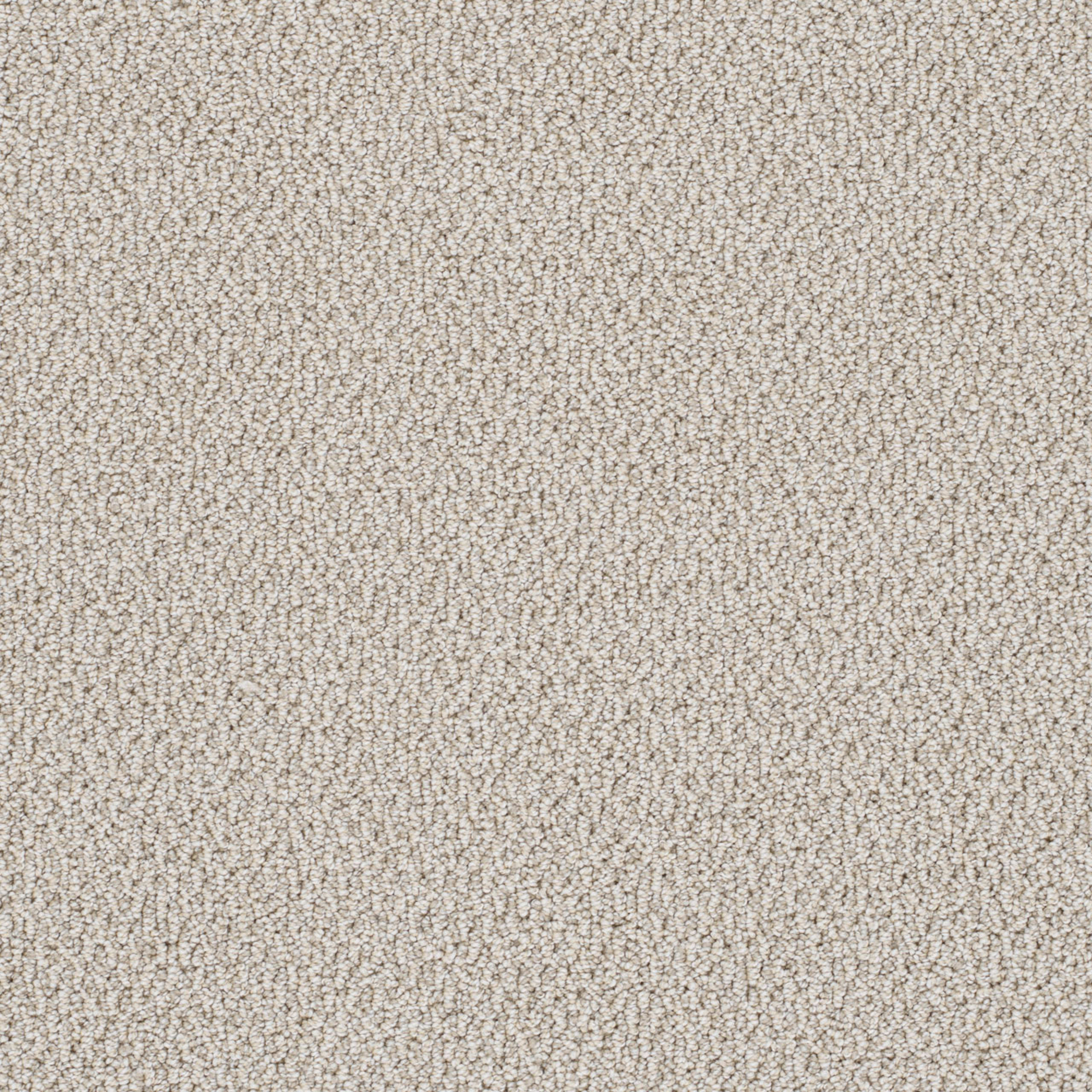 Palazzo in Bay Dream Carpet