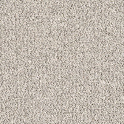 Palazzo in Bay Dream Carpet