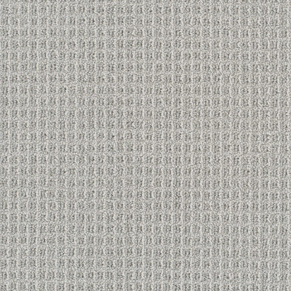 Valencia in Nautilus          Carpet