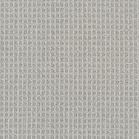 Valencia in Nautilus          Carpet