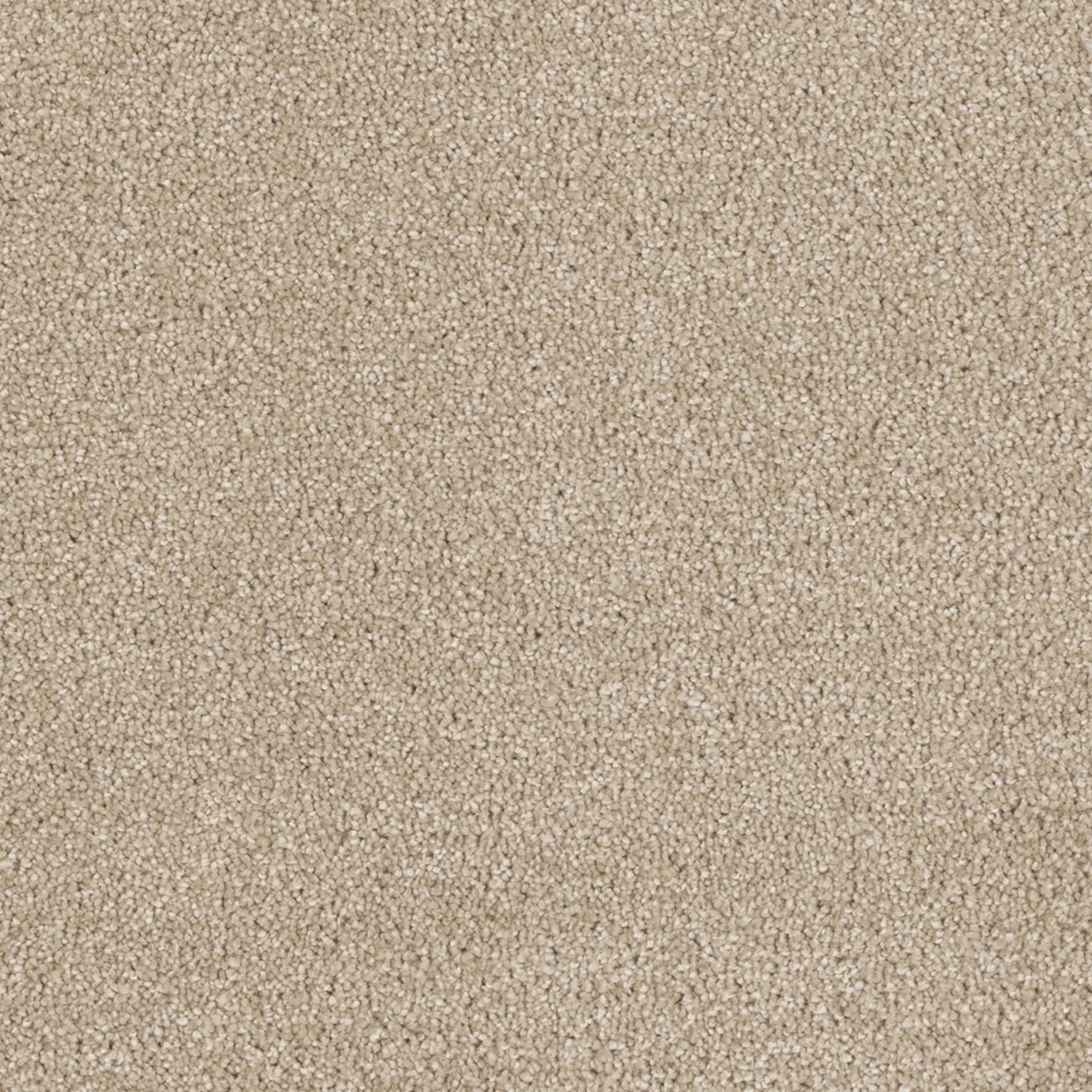 Bel Air in Cashmere Carpet