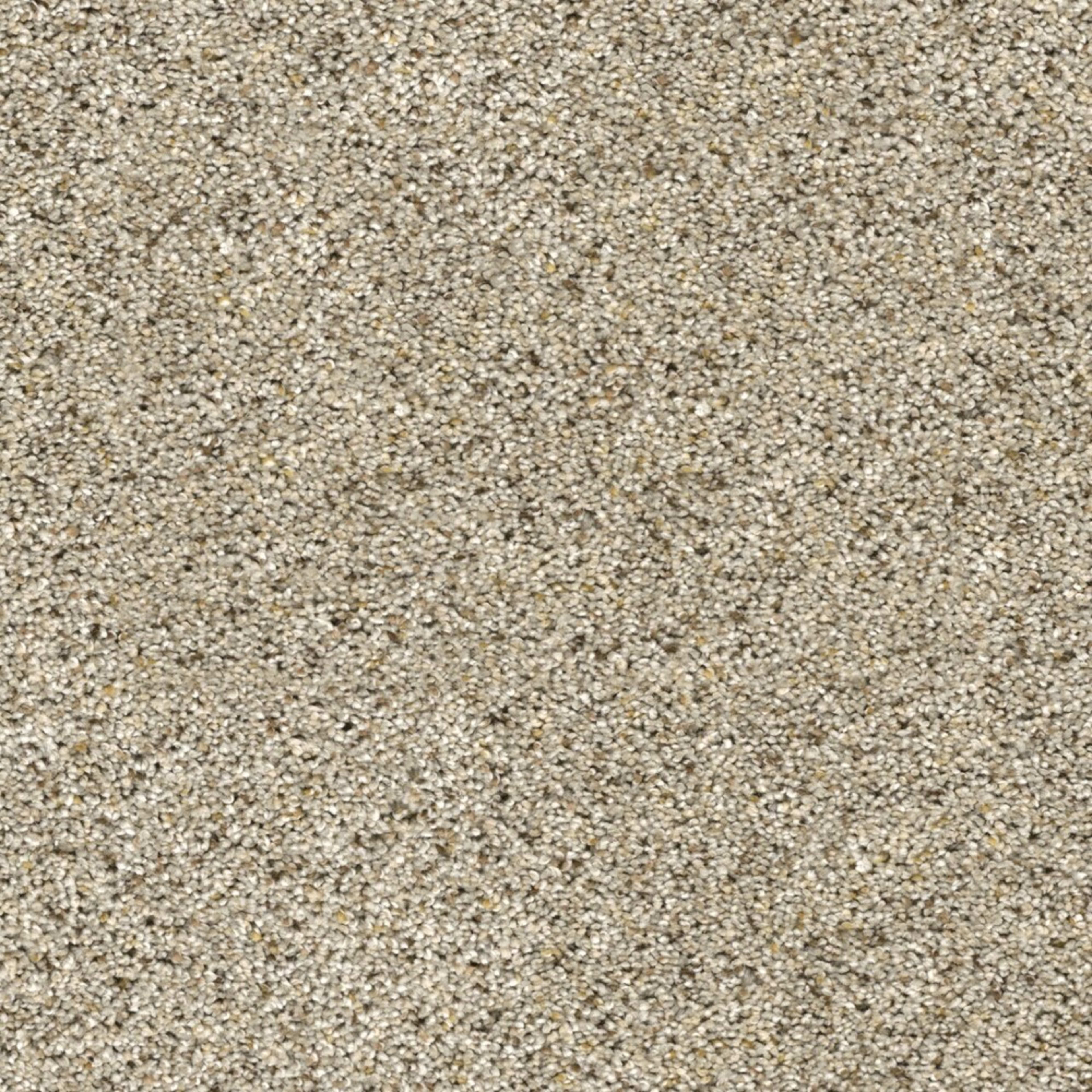 Marley II in Sun Drop Carpet