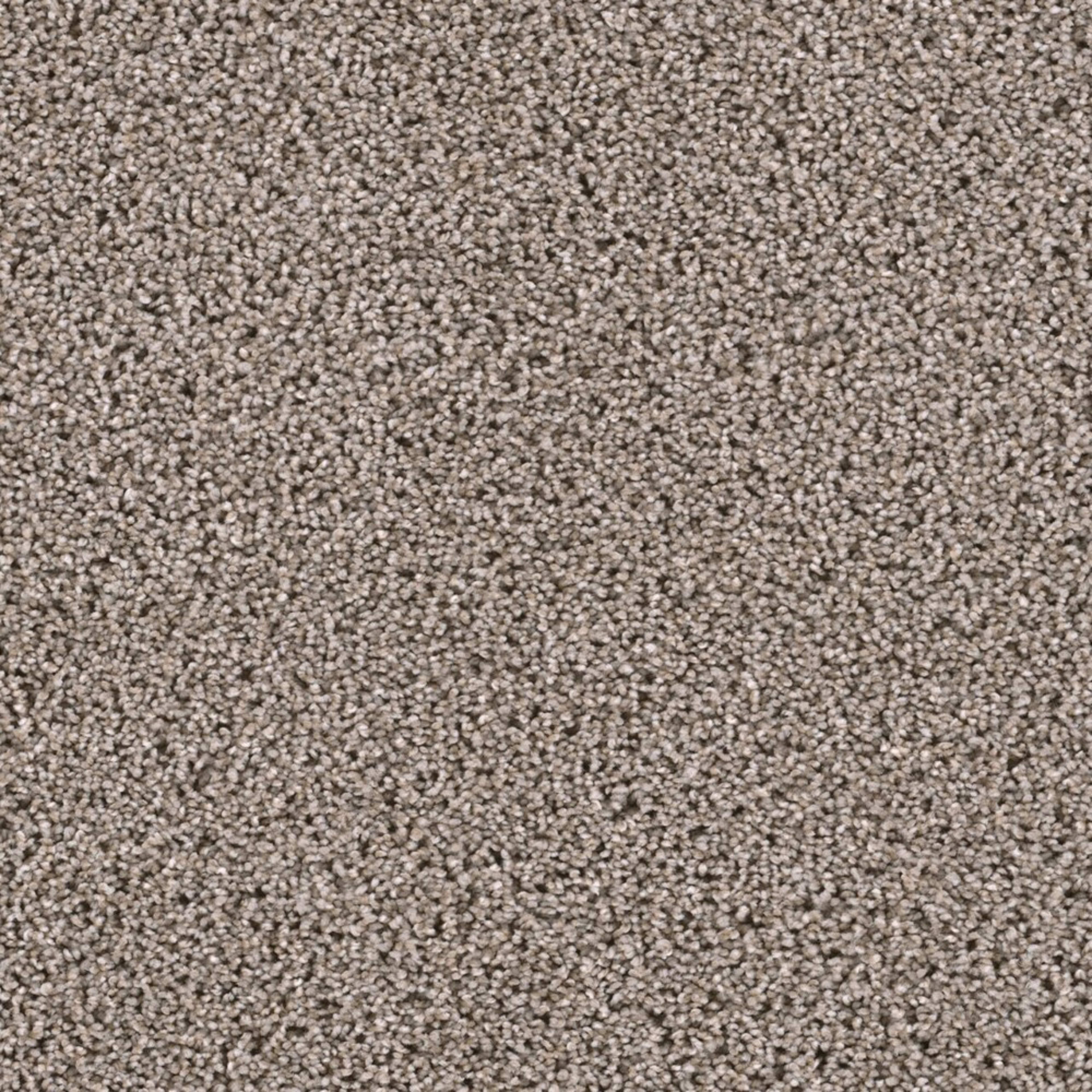 Lustrio I in Meadow Trail Carpet