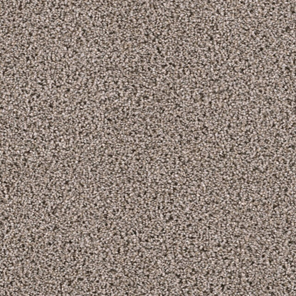 Lustrio I in Meadow Trail Carpet