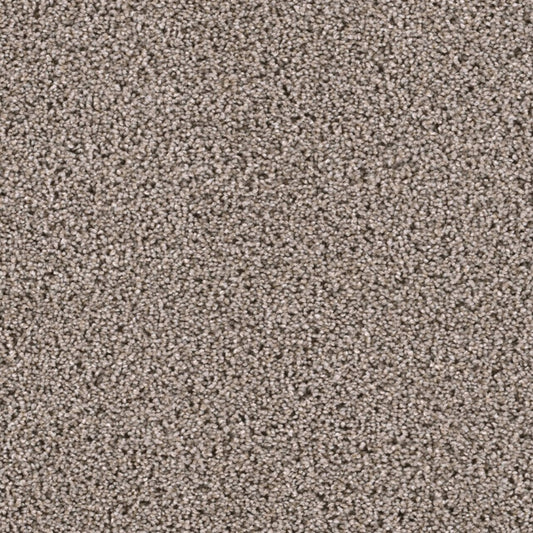 Lustrio I in Meadow Trail Carpet