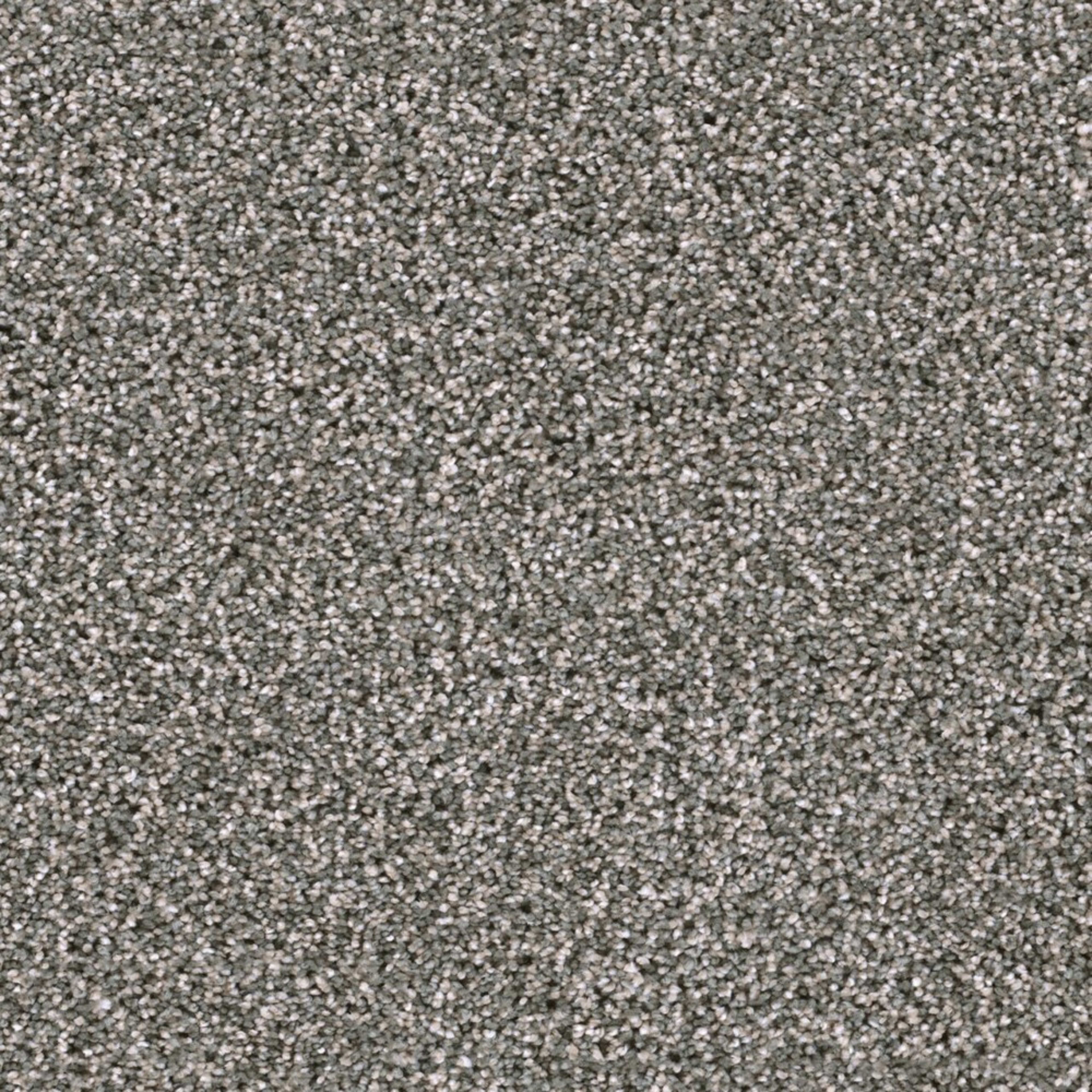 Lustrio II in Willow Tree Carpet