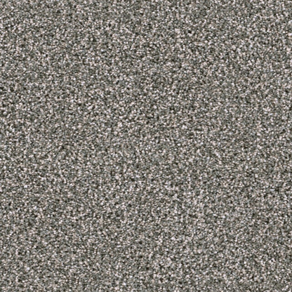 Lustrio II in Willow Tree Carpet