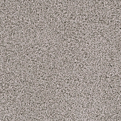 Lustrio II