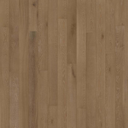Canvas Collection in Oak Henna