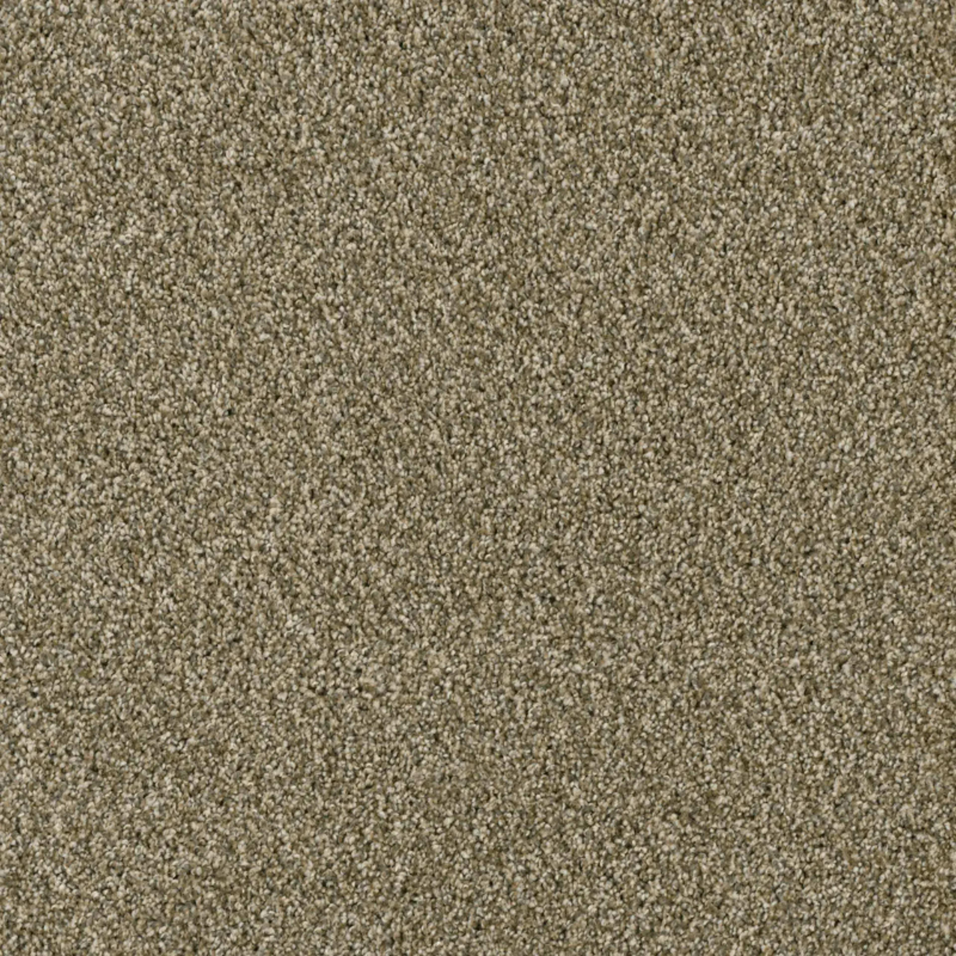 Acclaim in Sienna Sand Carpet