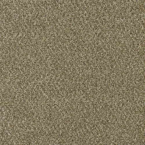 Acclaim in Sienna Sand