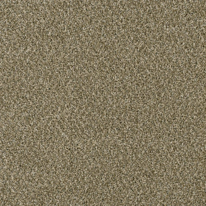 Acclaim in Sienna Sand Carpet