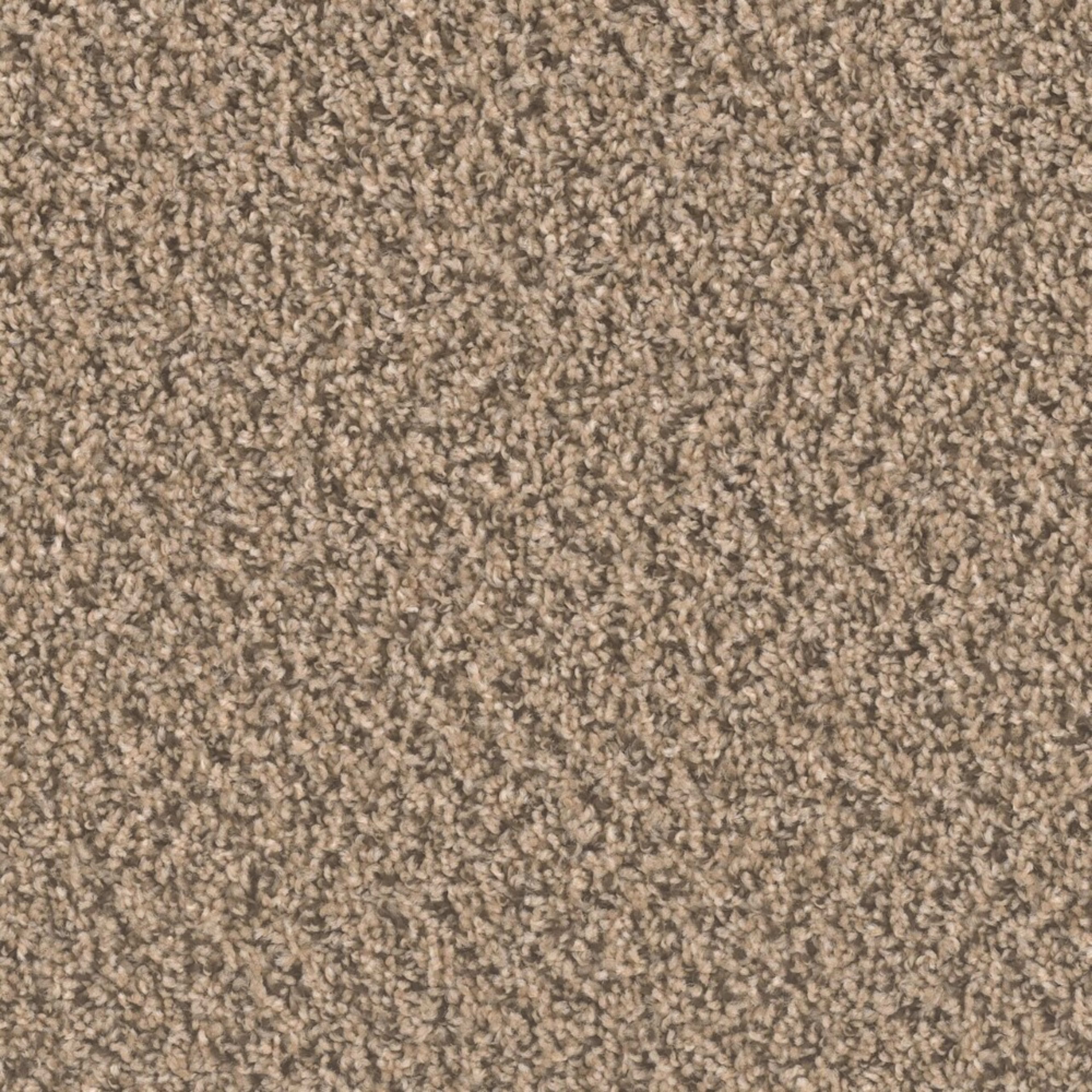Ascend in Gingerbread Carpet