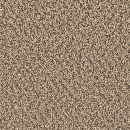 Ascend in Gingerbread Carpet