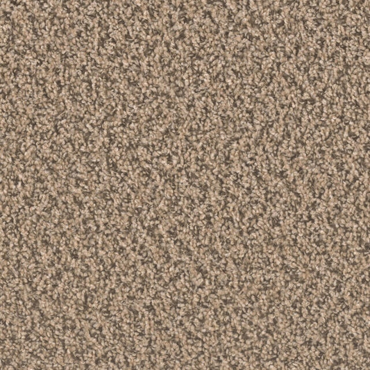 Ascend in Gingerbread Carpet