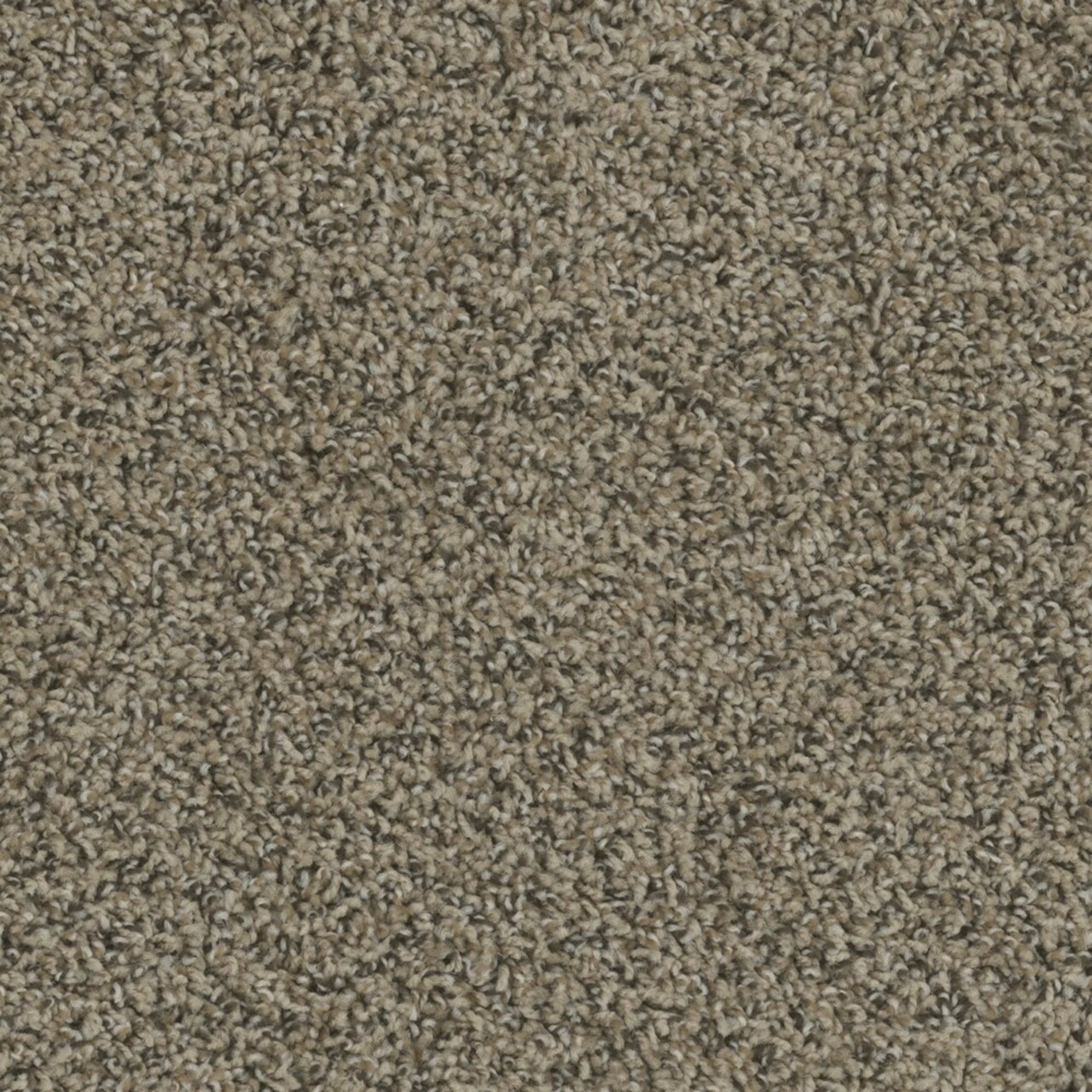 Columbia in Fawn Carpet
