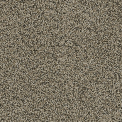 Columbia in Fawn Carpet