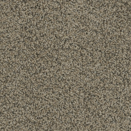 Columbia in Fawn Carpet