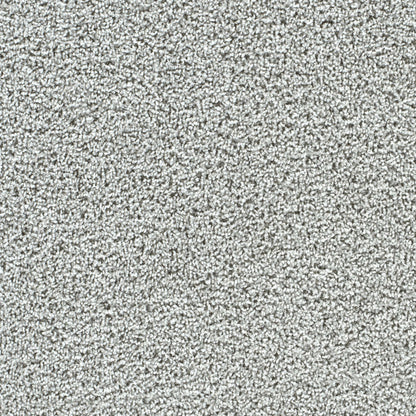 Captivating III in Misty Breeze Carpet