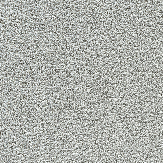 Captivating III in Misty Breeze Carpet