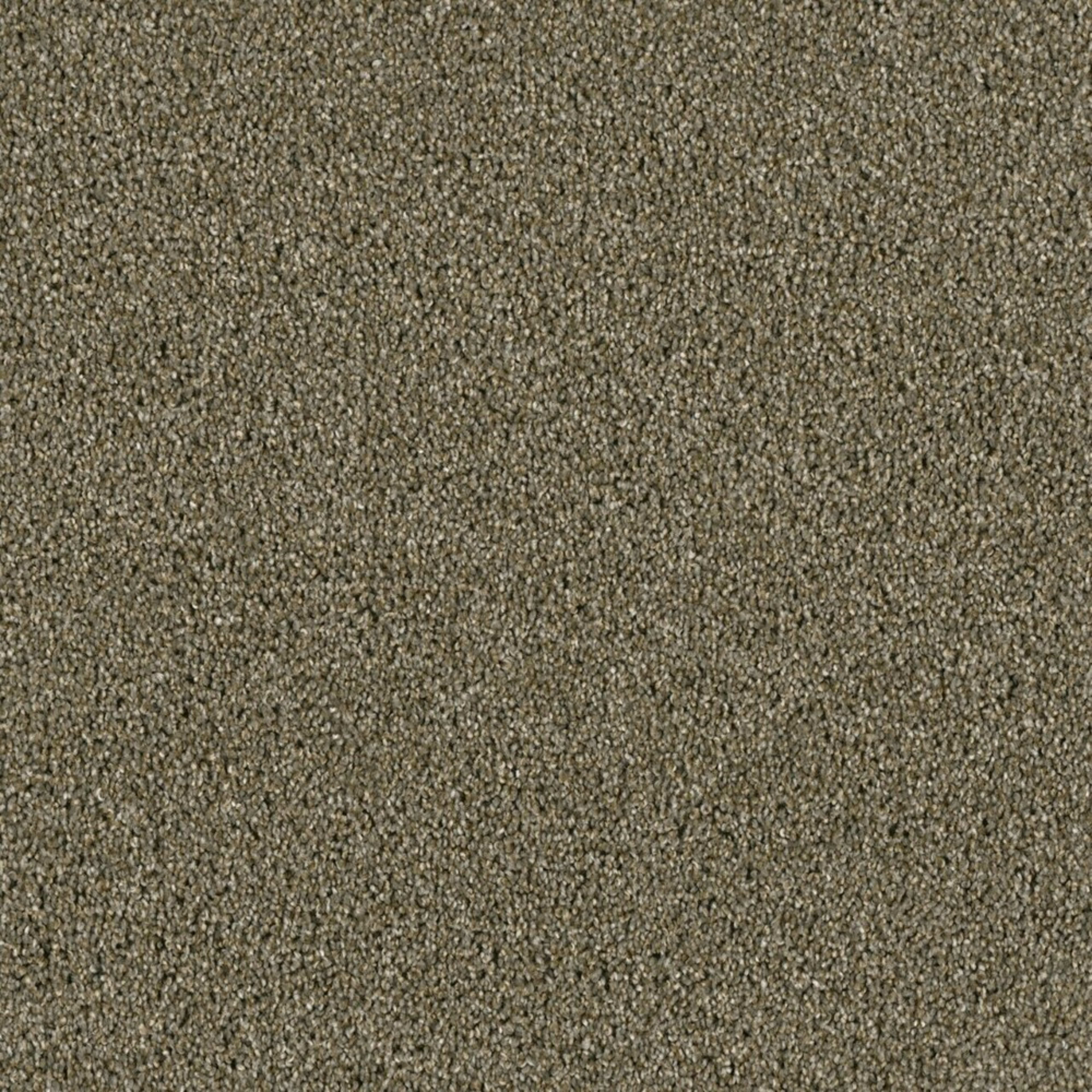 Accolade in Cinnamon Tea Carpet