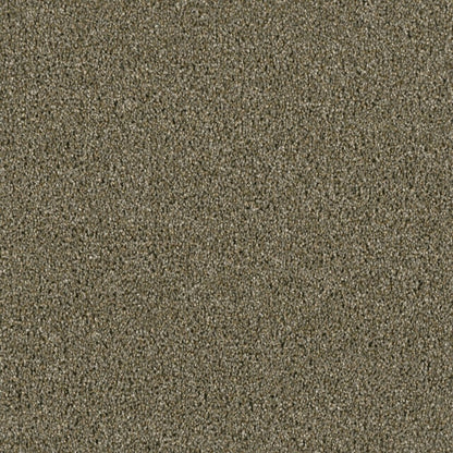 Accolade in Cinnamon Tea Carpet