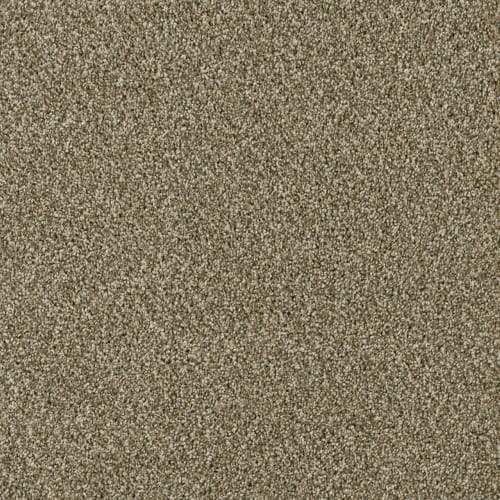 Accolade in Sienna Sand