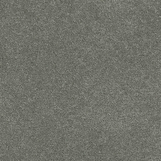 Coronado III in Dark Platinum Carpet