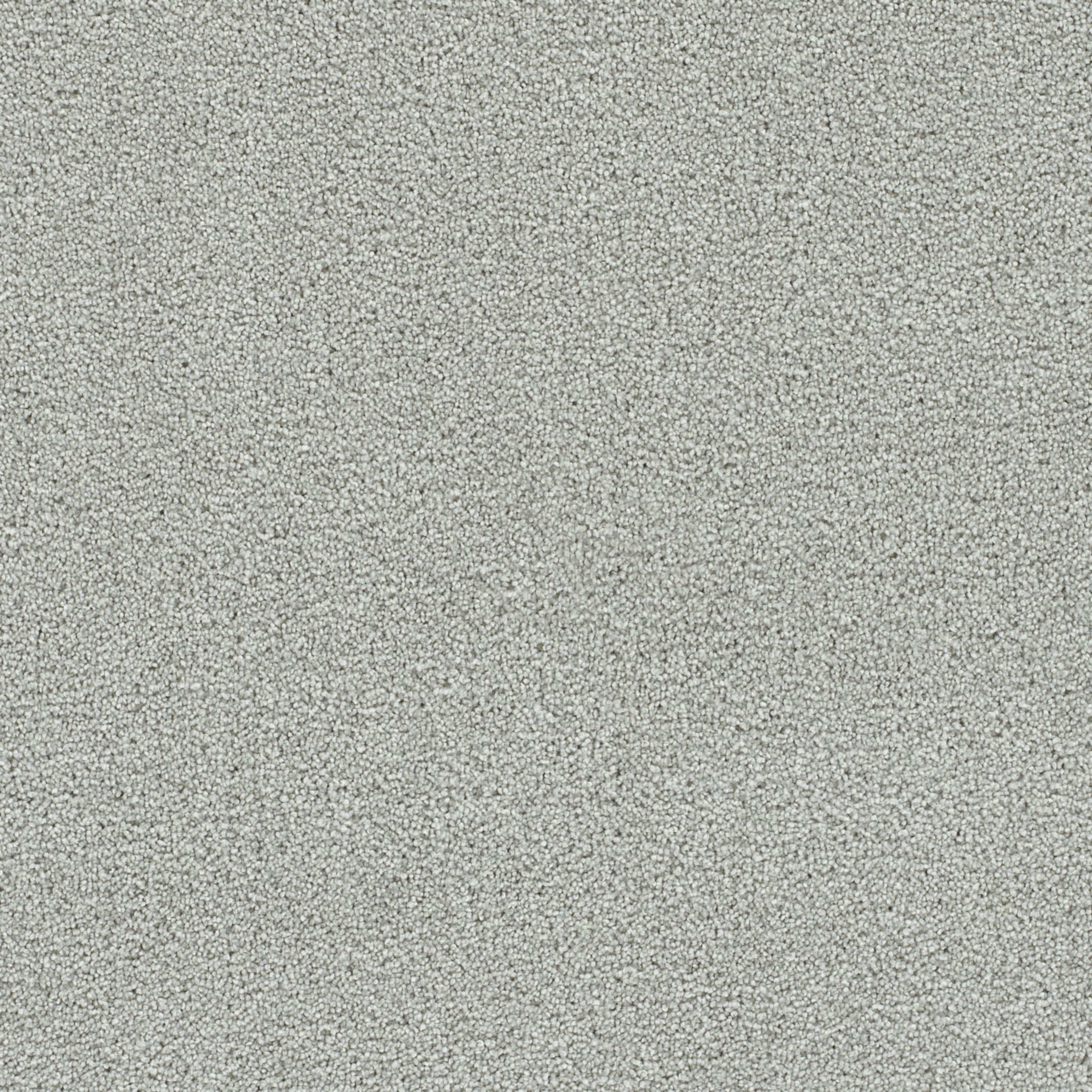 Clearwater I in Milestone Carpet